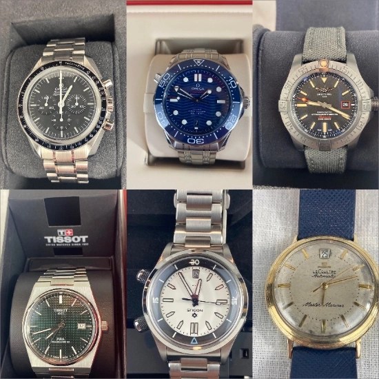 Kiko Auctioneers Auction Catalog Wristwatch Collection 21410 Ryan