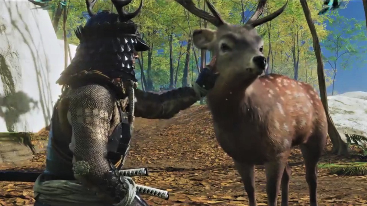Ghost of Tsushima Iki Island Expansion Has Animal Sanctuaries Where You
