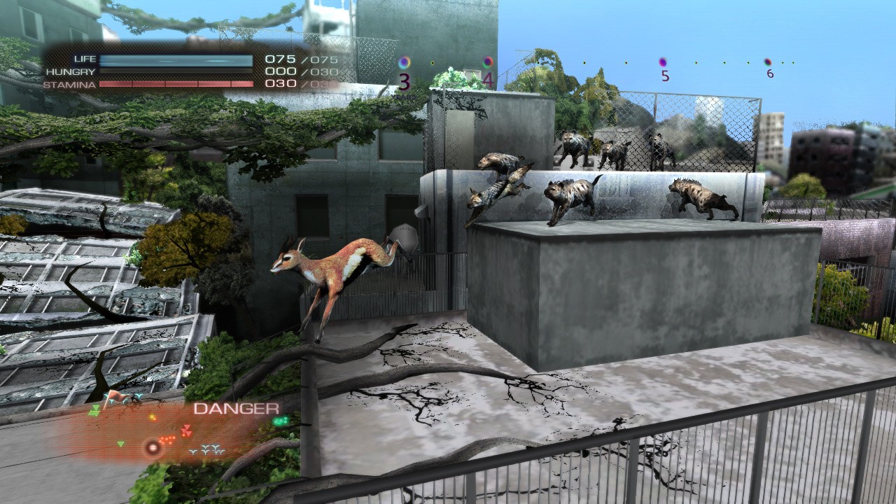 Tokyo Jungle (PS3 / PlayStation 3) Game Profile News, Reviews, Videos