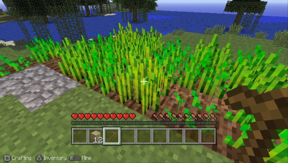 Minecraft PS Vita Edition (PS Vita / PlayStation Vita) Game Profile