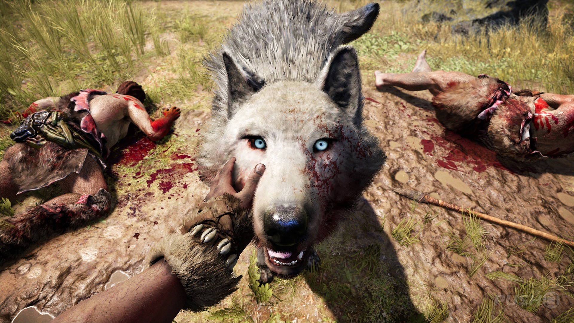 Far Cry Primal (PS4 / PlayStation 4) Game Profile News, Reviews
