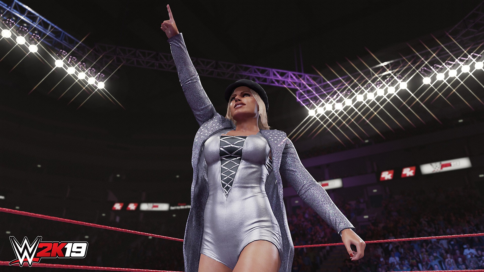 WWE 2K19 (PS4 / PlayStation 4) Game Profile News, Reviews, Videos & Screenshots