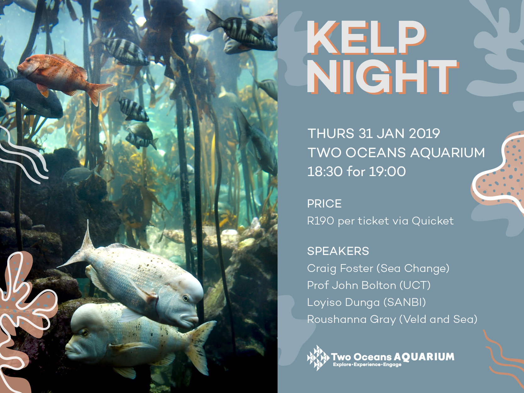 Book tickets for SOLD OUT Kelp Night at the Two Oceans Aquarium