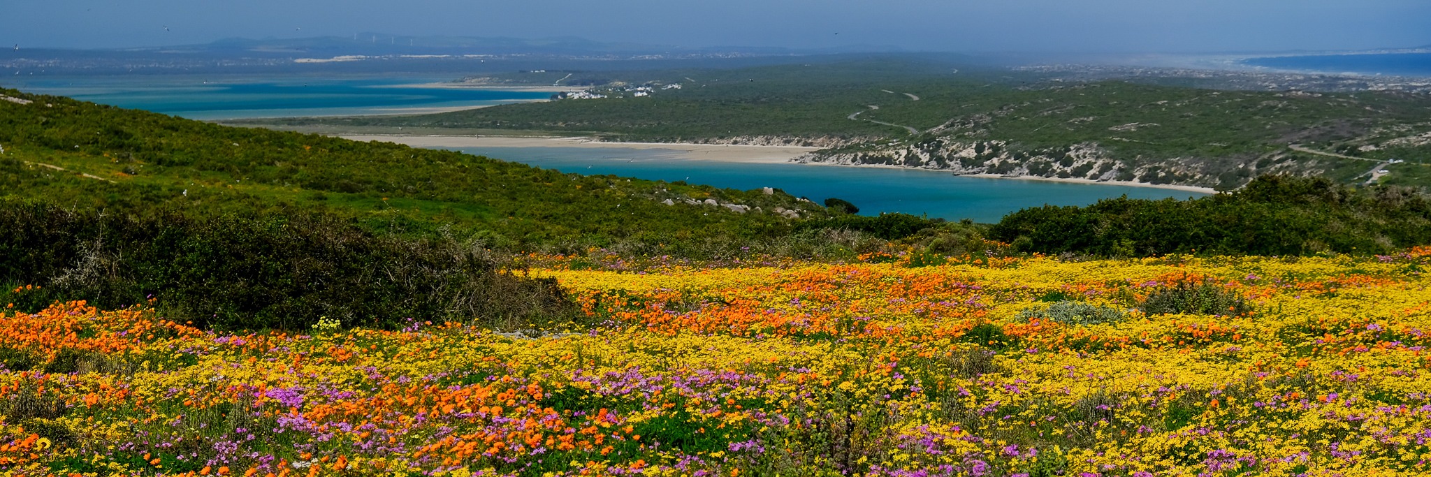 Book tickets for West Coast Spring Flower Hike