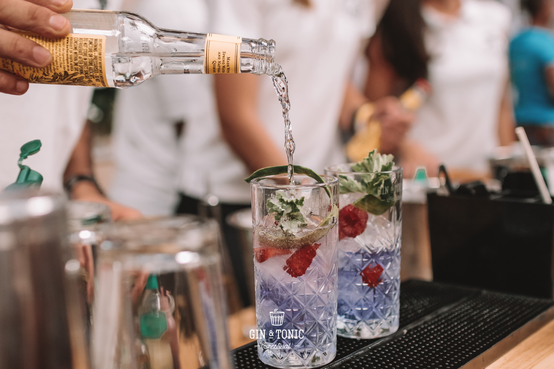 Book tickets for Gin & Tonic Festival CPT 2023