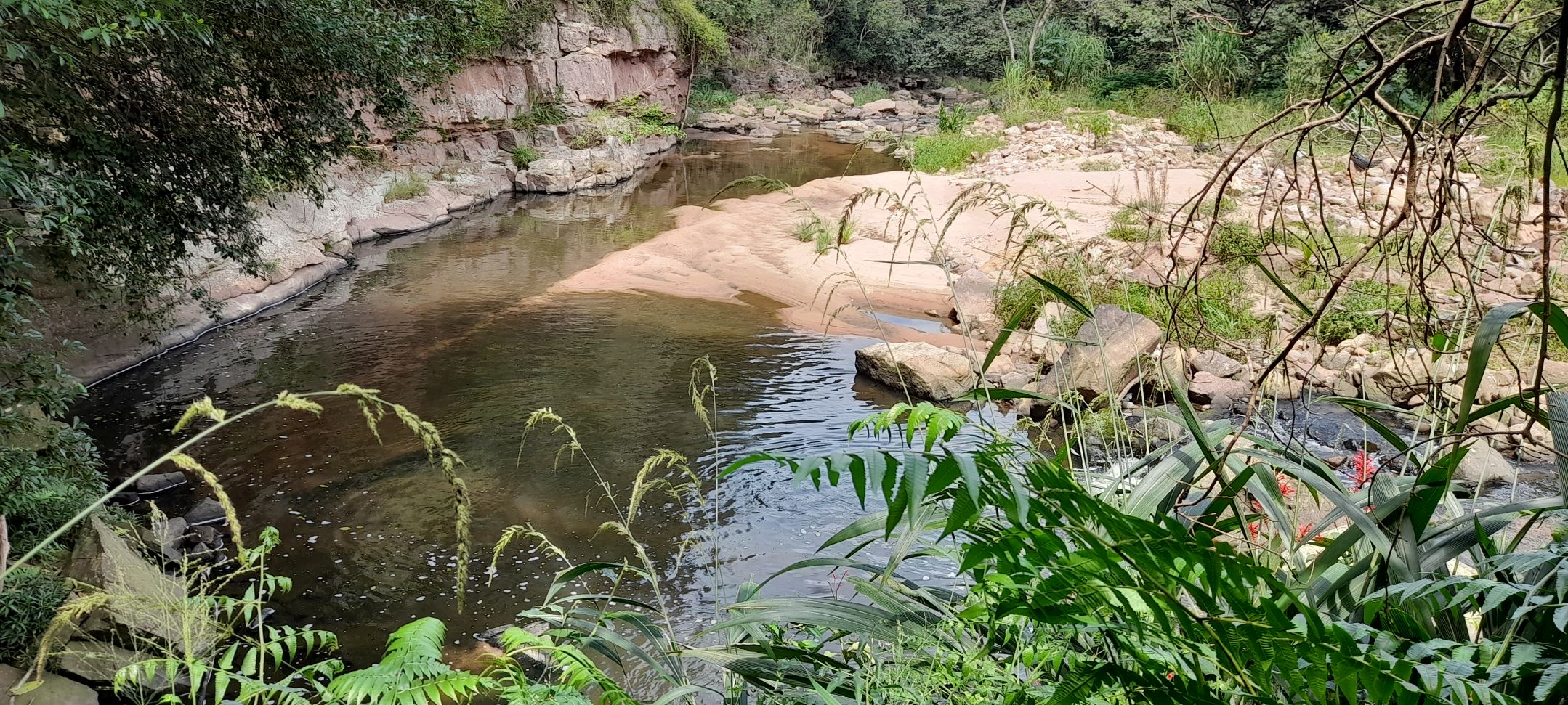 Book tickets for Palmiet Nature Reserve Hike