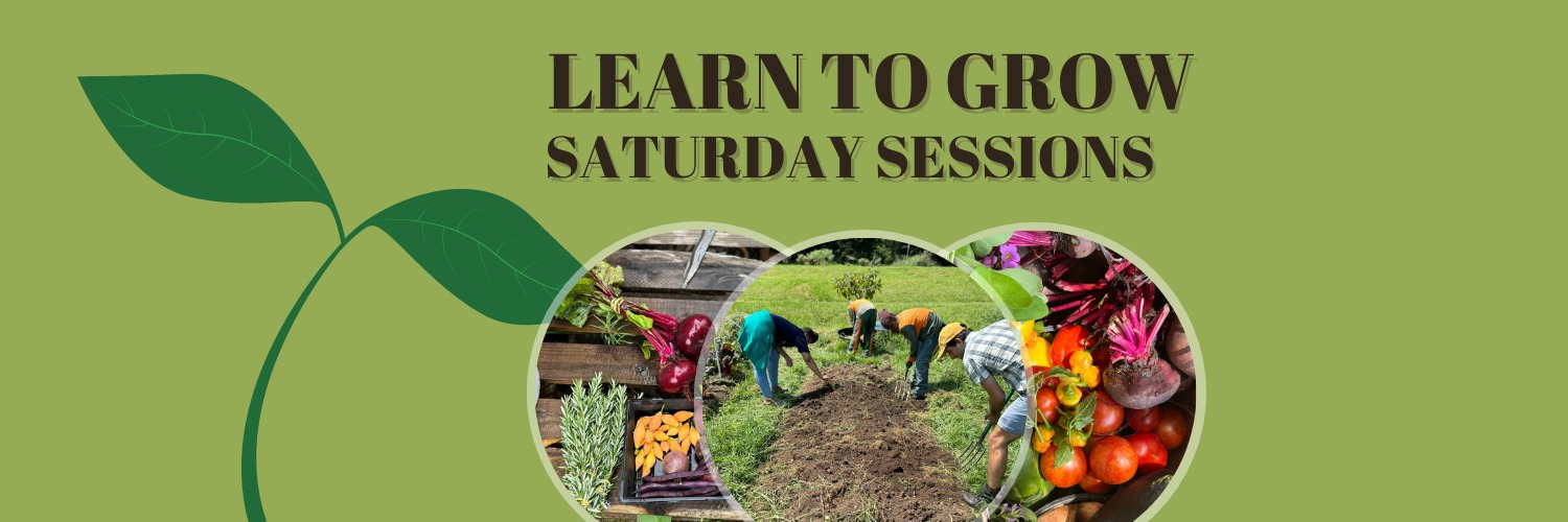 Book tickets for LET IT GROW SATURDAY SESSIONS