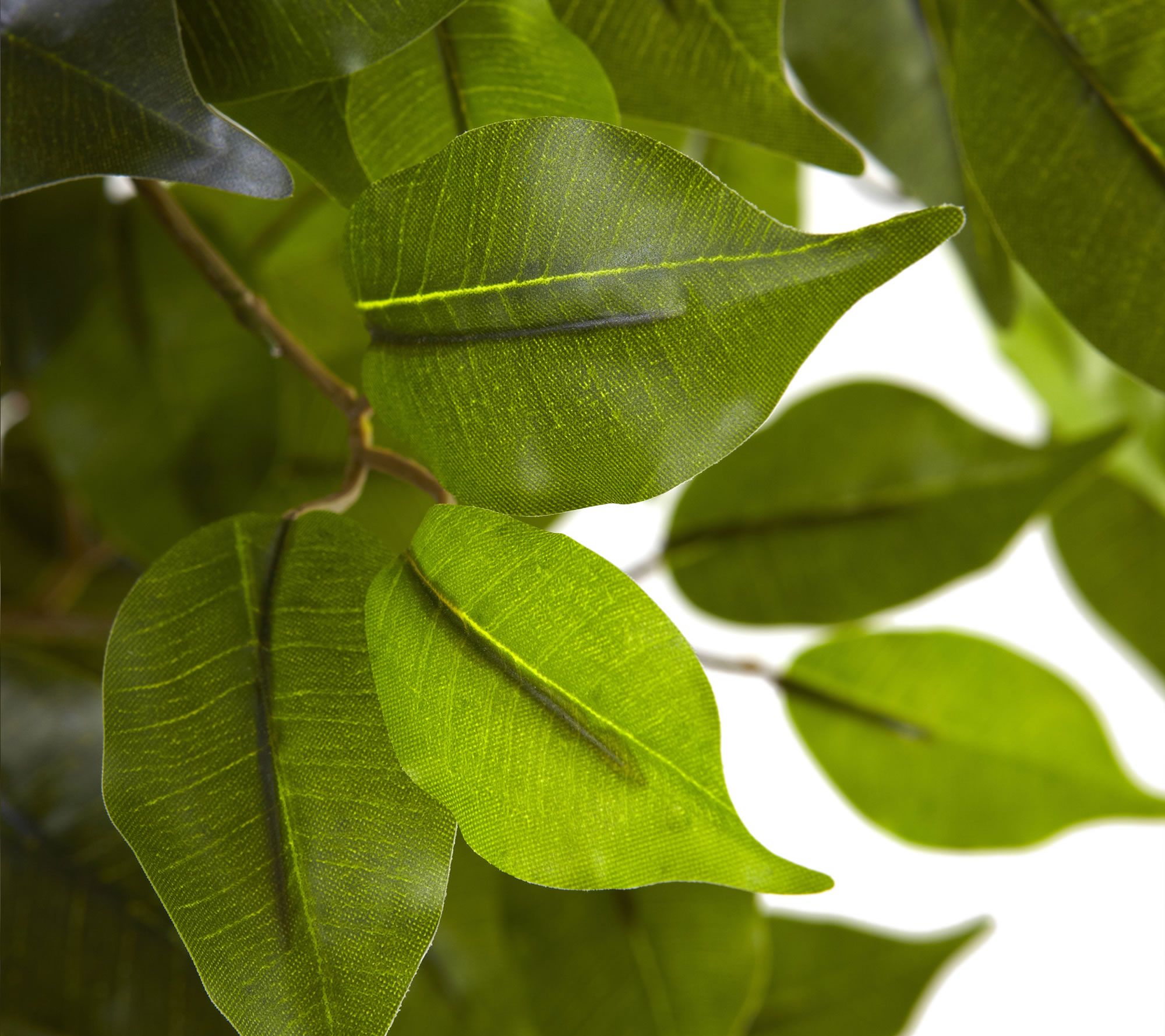 51/2' Indoor/Outdoor Ficus Tree by Nearly Natural