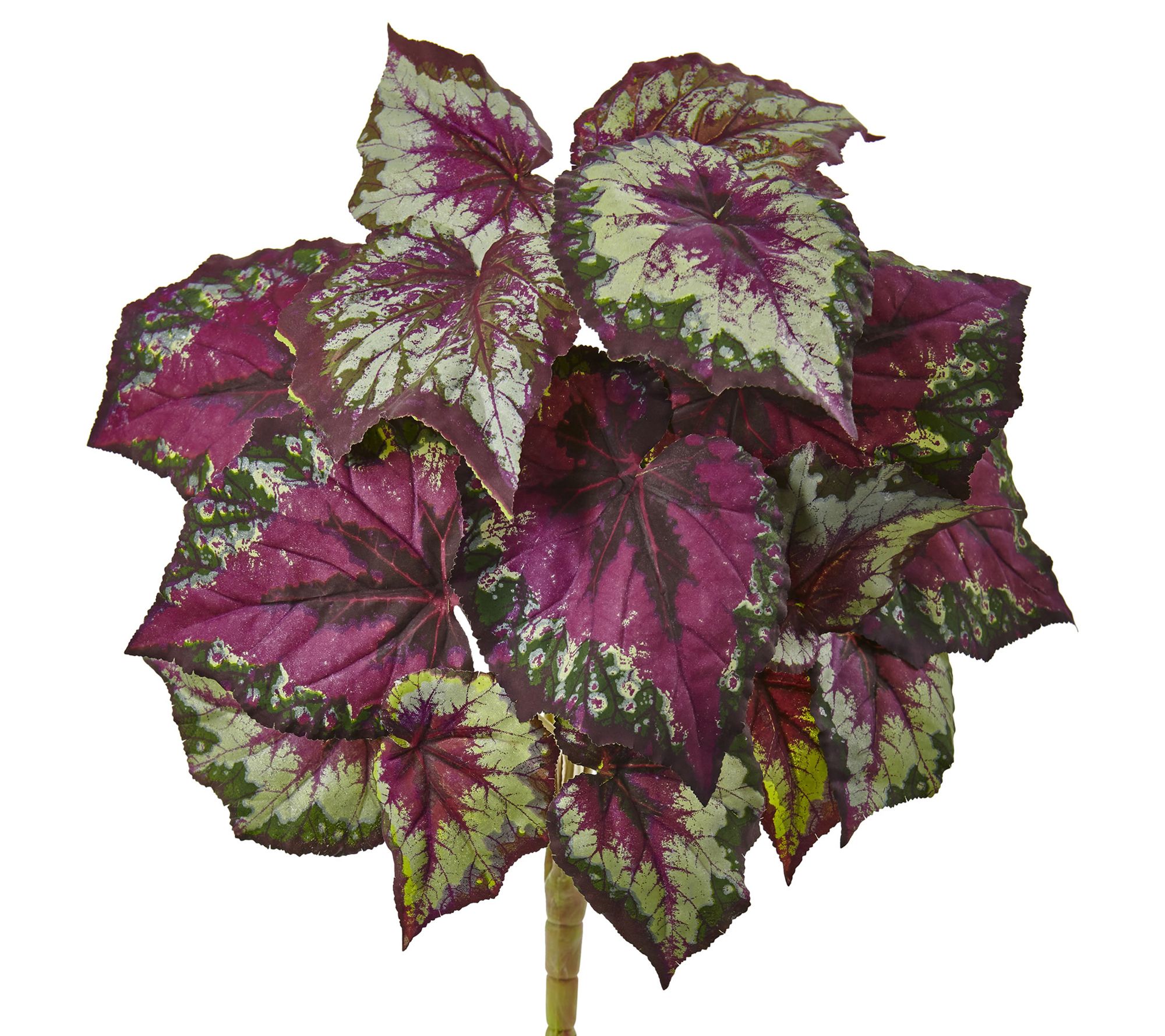 Wax Begonia Bush Set of 6 by Nearly Natural
