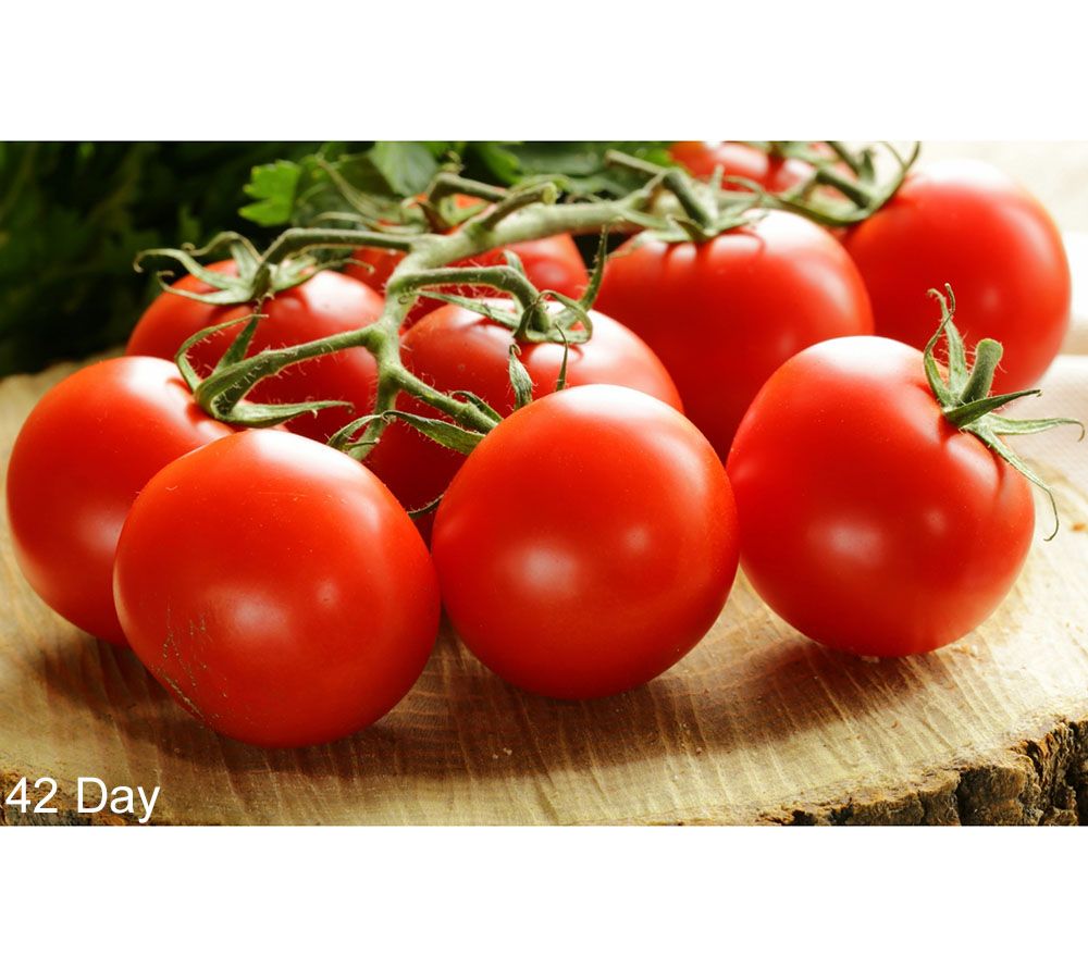 Cottage Farms 6pc. Tomato Lover's Gourmet Collection Page 1 —