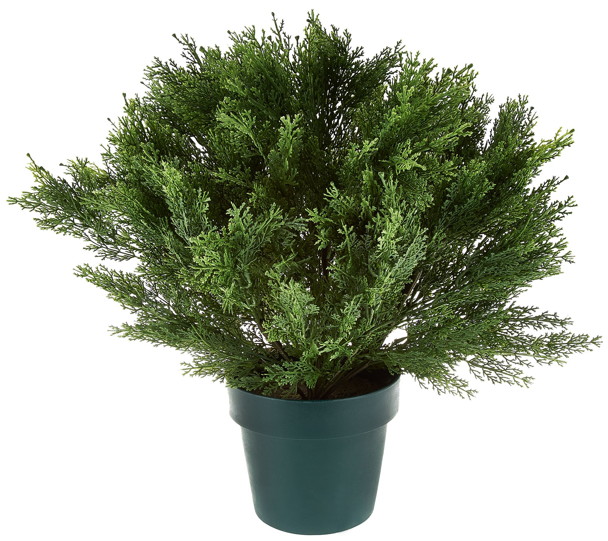 National Tree Feel Real 22" Globe Cedar Shrub with Growers Pot Page 1 —