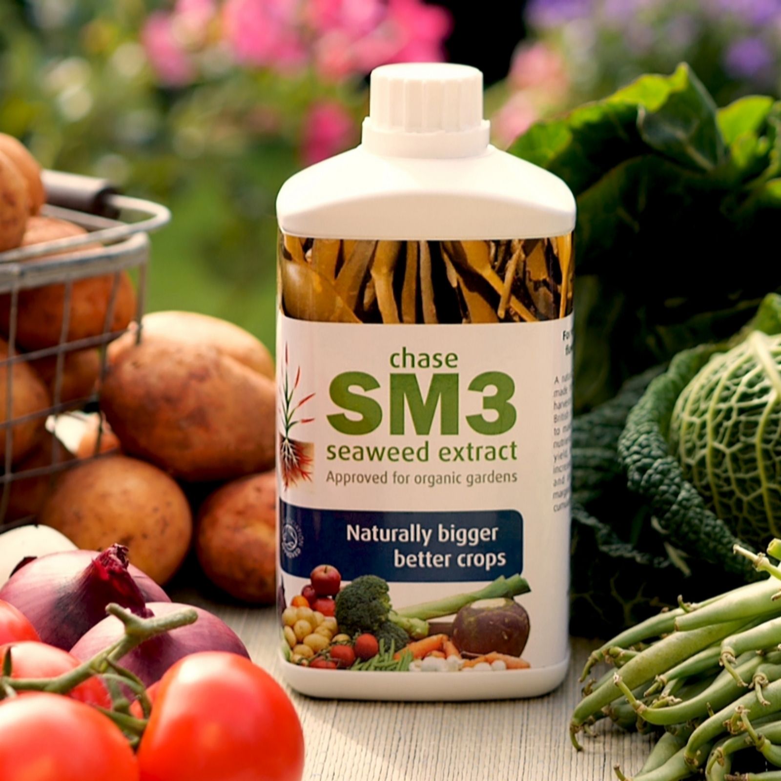 The Organic Gardening Catalogue Seaweed Feed & Protect Kit QVC UK