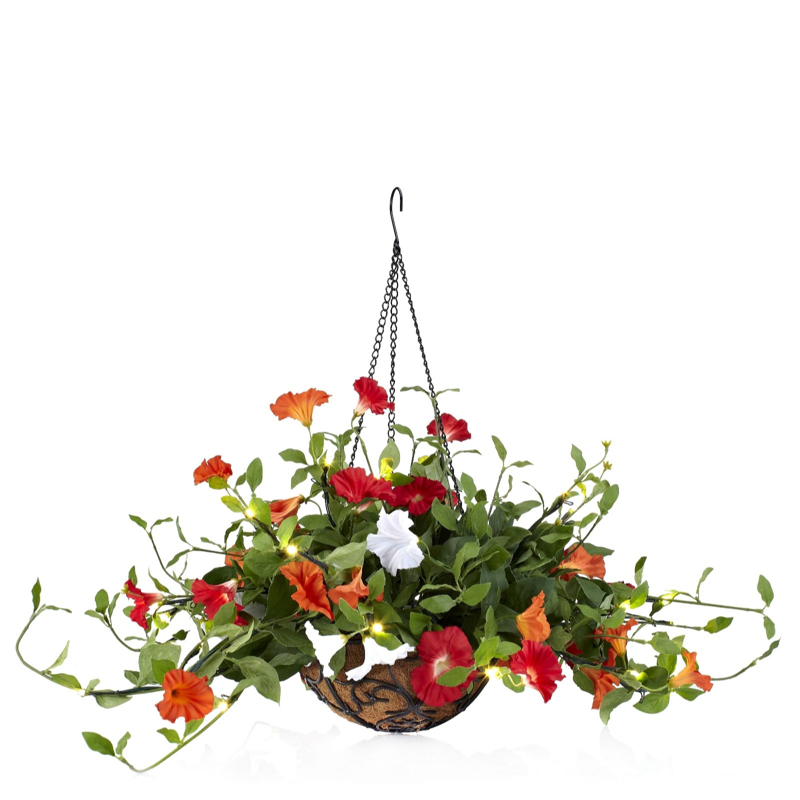 Bethlehem Lights Petunia Hanging Basket with Timer QVC UK