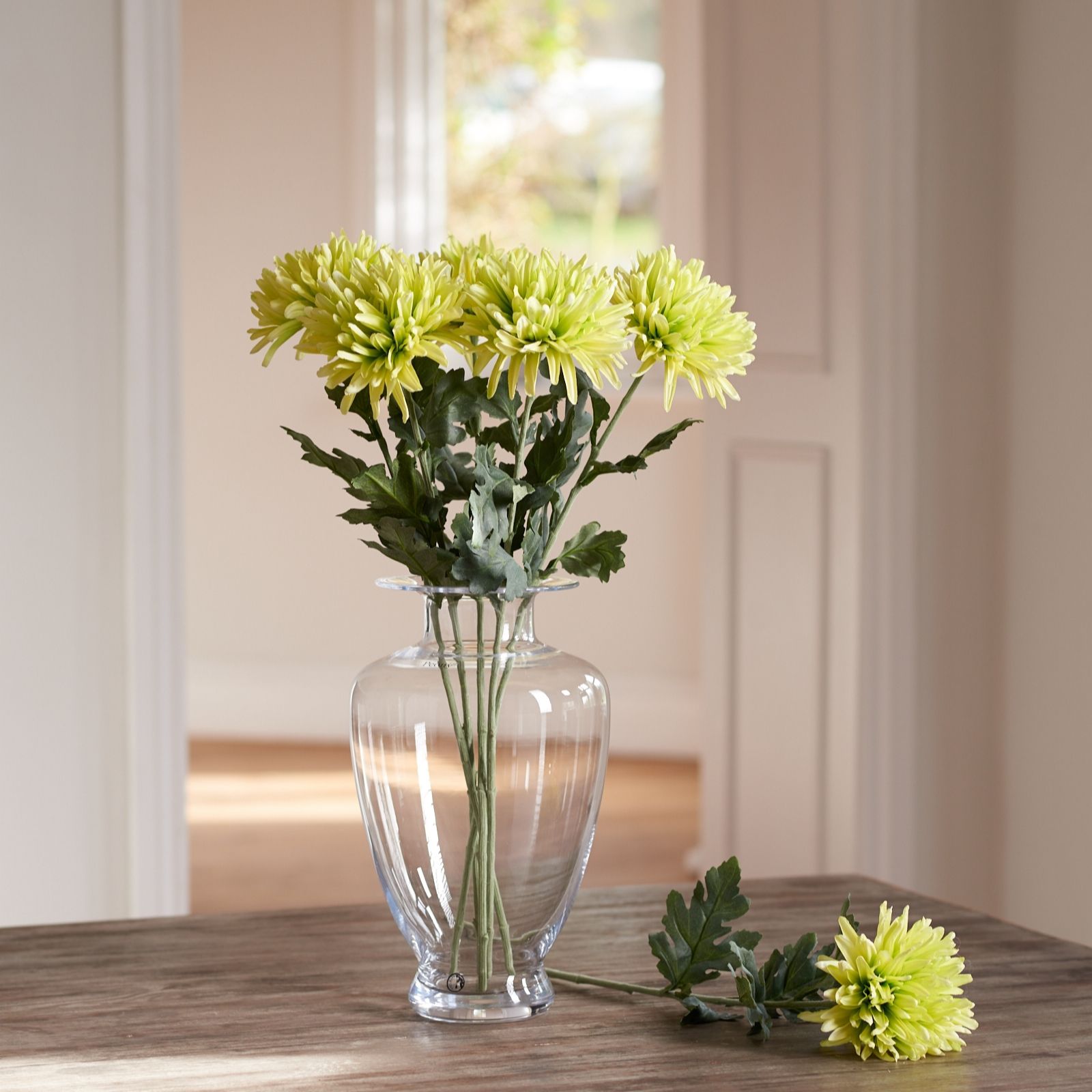 Peony Set of 5 Green Chrysanthemum Stems QVC UK