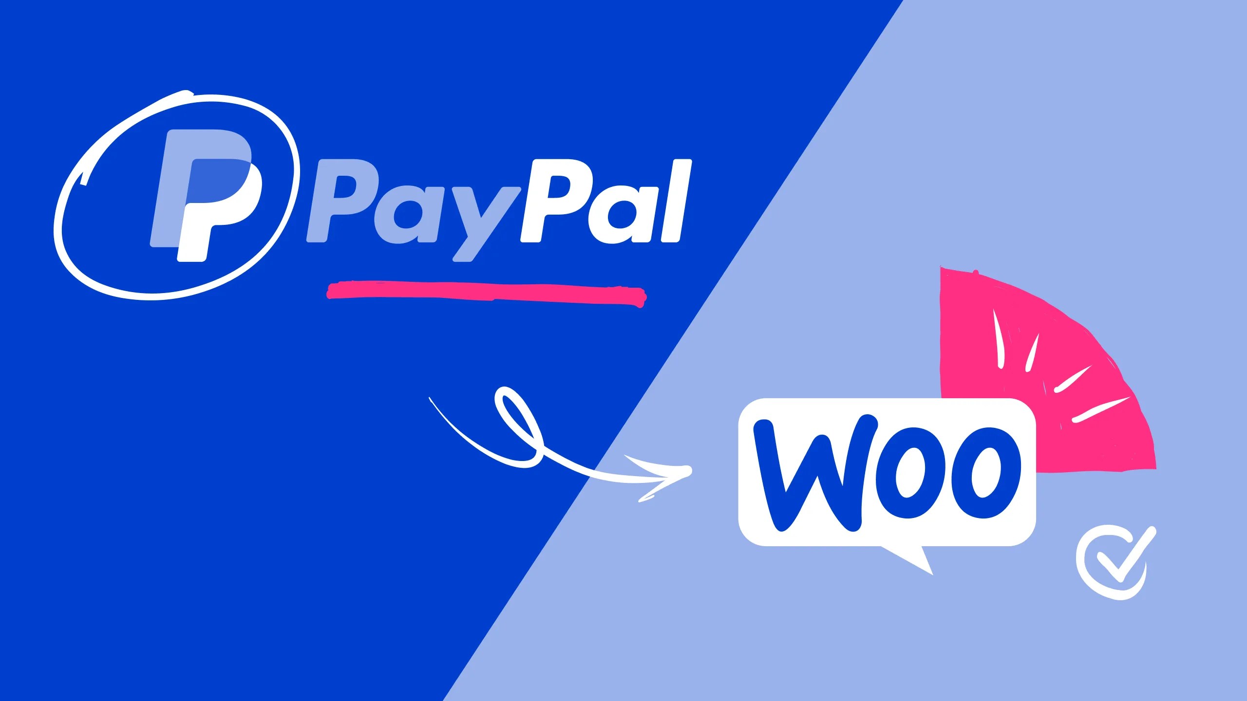 PayPal für Shops einrichten » raidboxes®