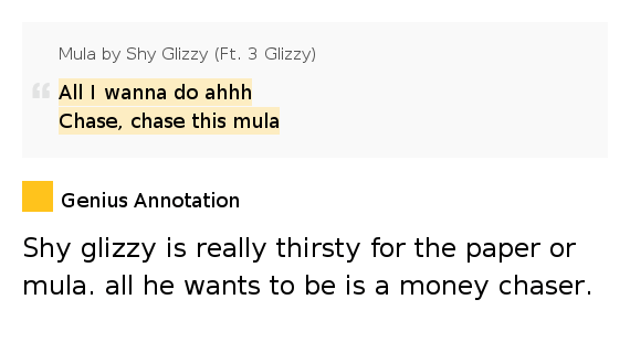 All I wanna do ahhh / Chase, chase this mula Mula by Shy Glizzy
