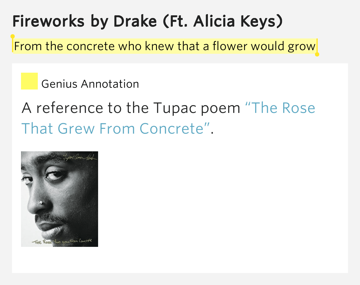 From the concrete who knew that a flower would grow