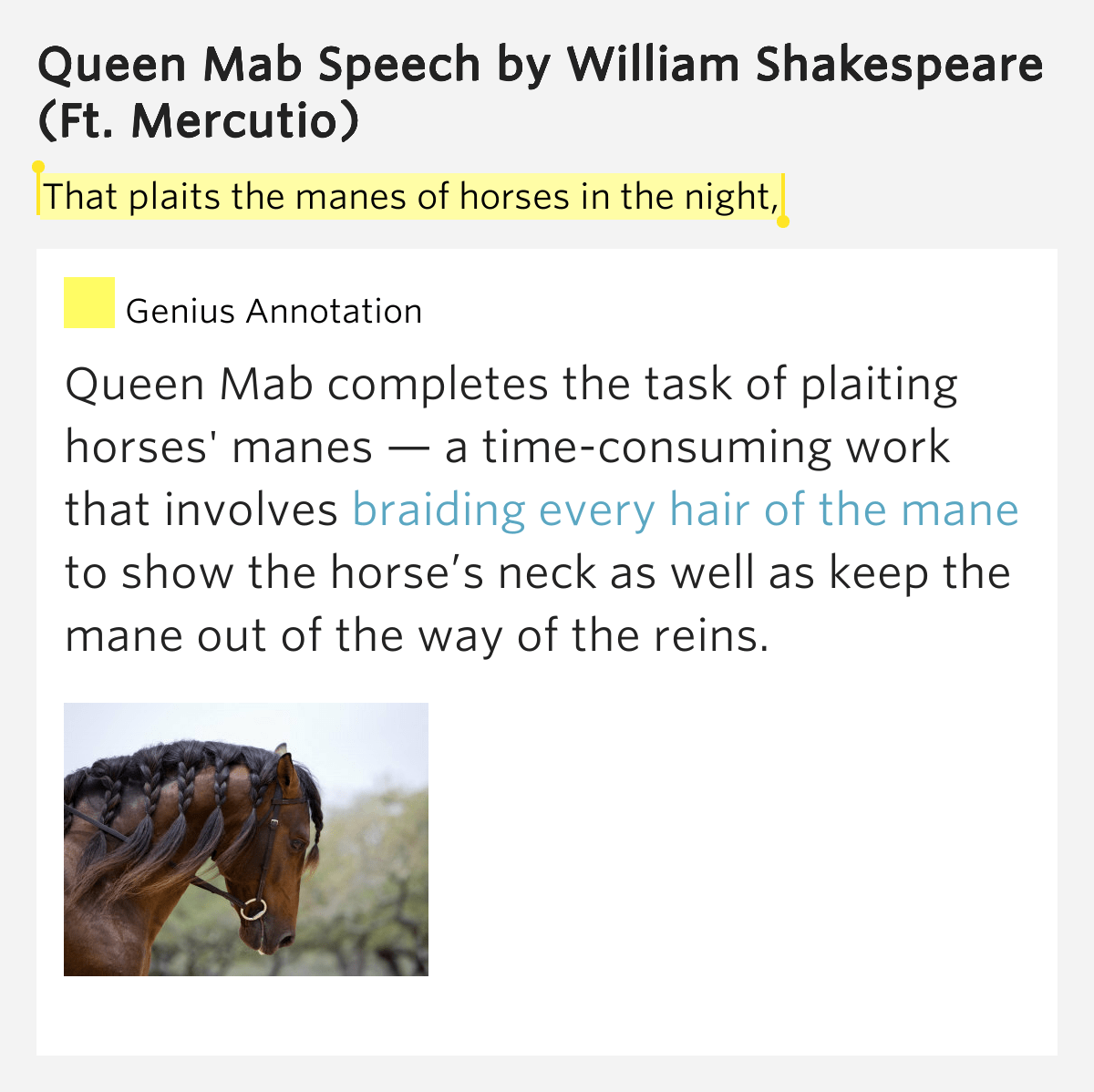 That plaits the manes of horses in the night, Queen Mab Speech