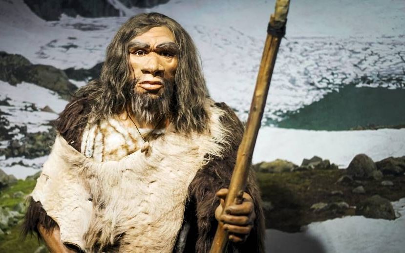Was de neanderthaler een kannibaal?