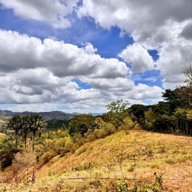 Busay (Sirao) Property For Sale 1.2 Hectares In Cebu City