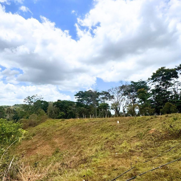 Busay (Sirao) Property For Sale 1.2 Hectares In Cebu City