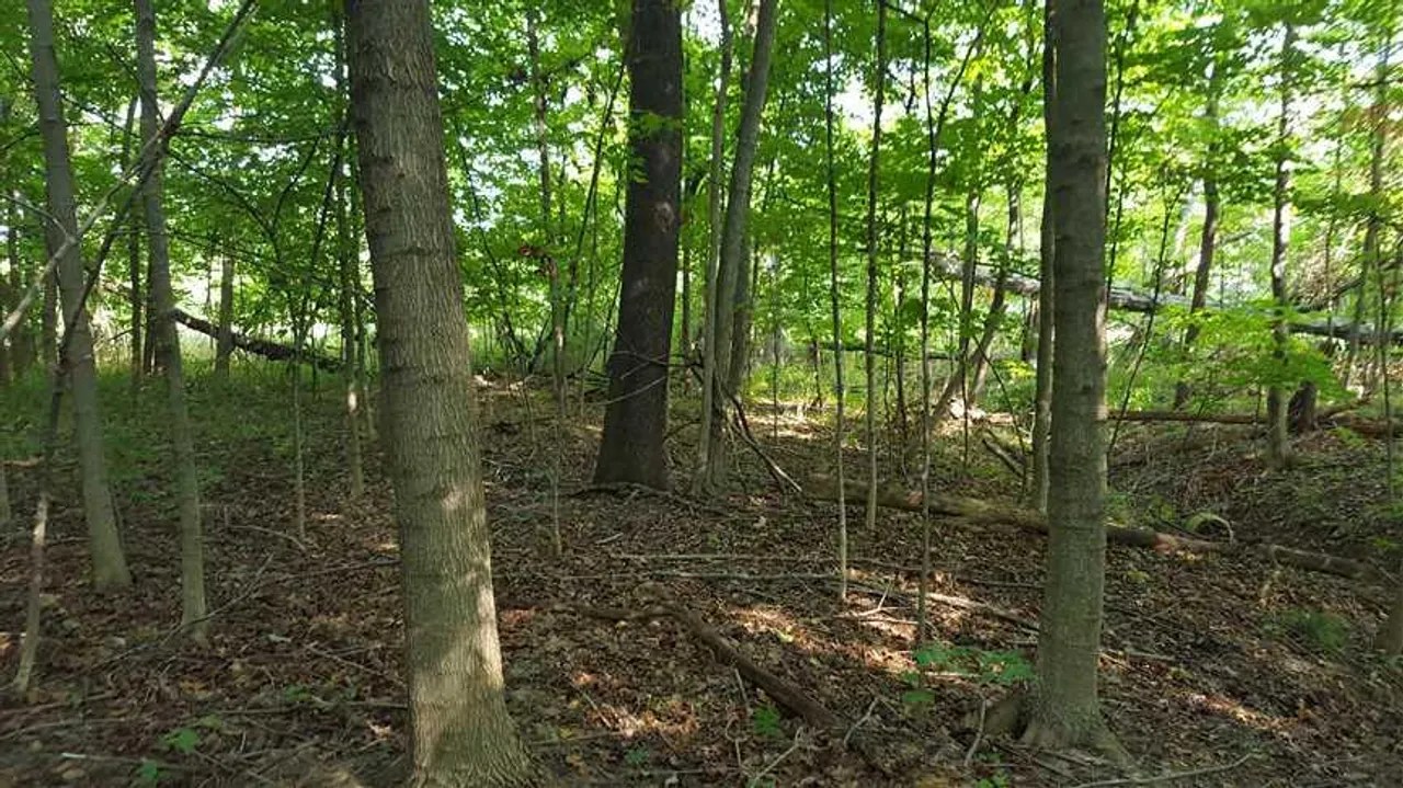 Land For SaleWatson Place Lot 8 West Terre Haute Vigo County Vigo County West Terre Haute, IN