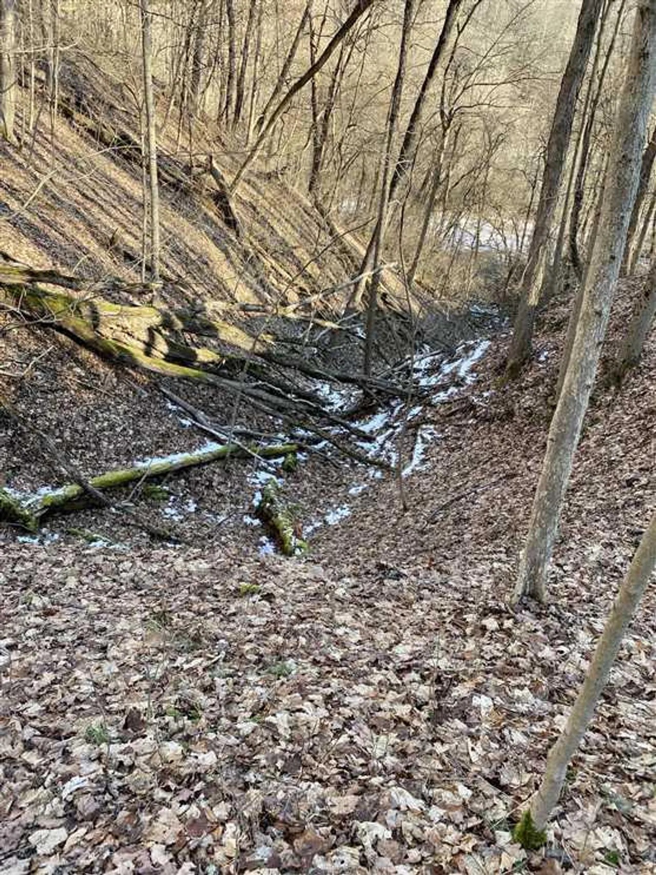 45+/ Acres For Sale in Washington County, PA Washington County