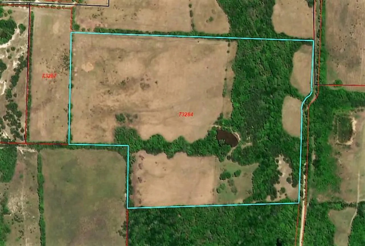 48.5 acres CR 2996 Windom TX Fannin County Windom, TX