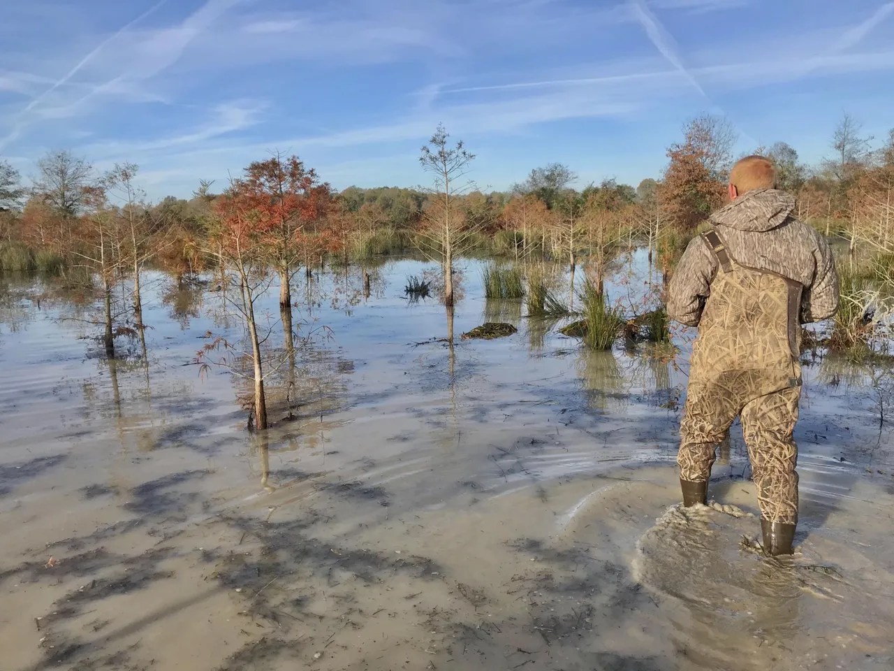 BK Refuge Duck Hole White County Bald Knob, AR