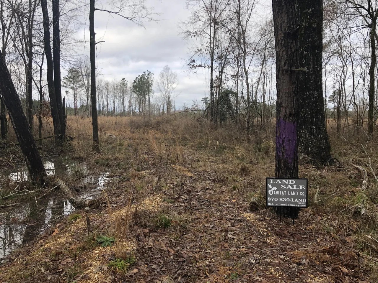 Fountain Hill 41 Ashley County Hamburg, AR