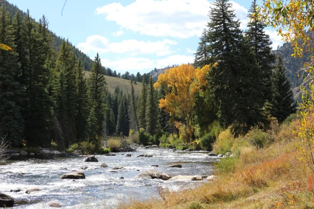 Eagles Nest Gunnison County Almont, CO
