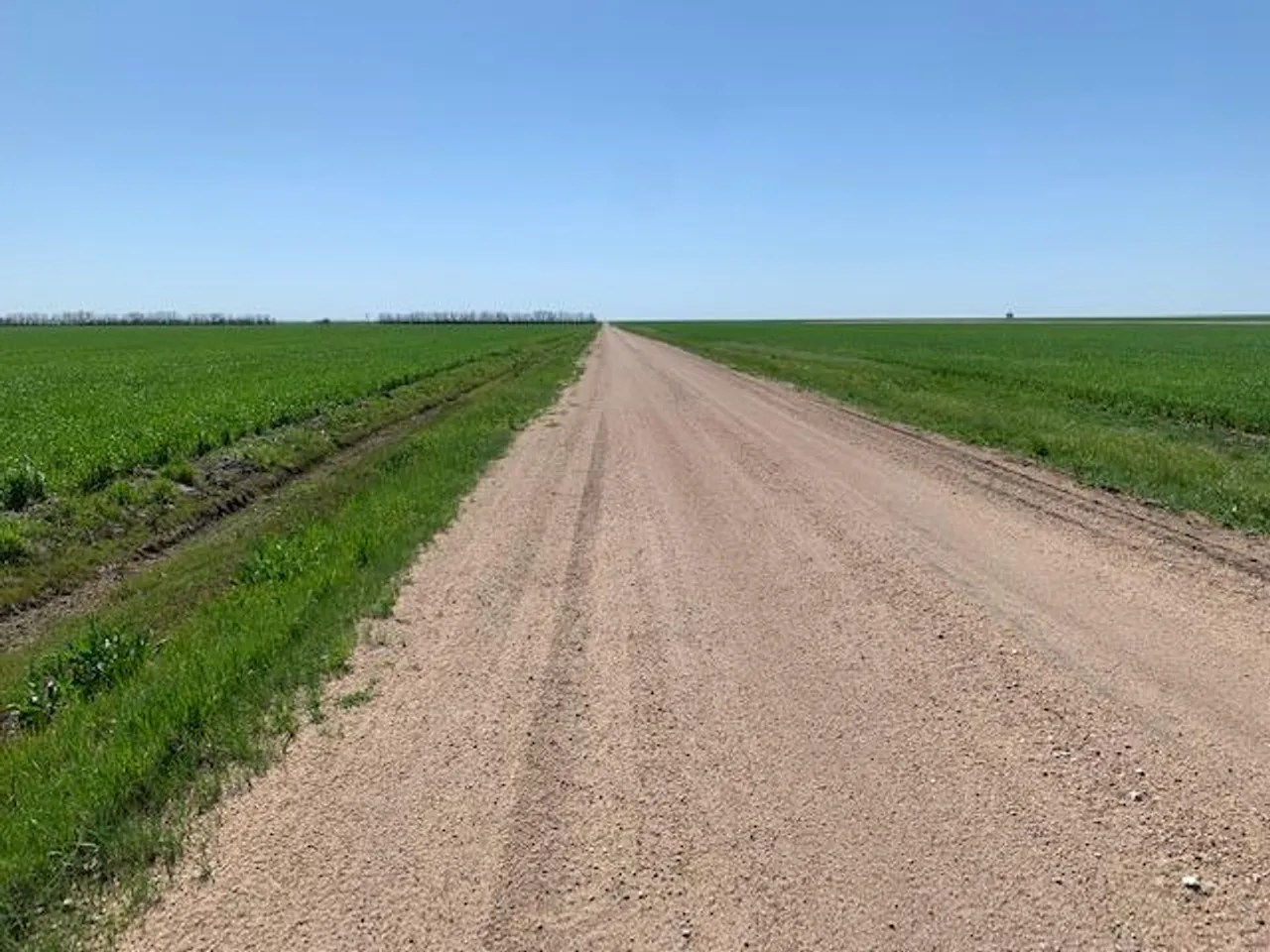 80+/ Acres of Tillable Farmland in Rice County, Kansas Rice County