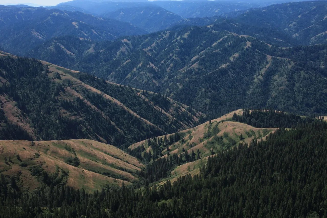 Umatilla River Mountain Property Umatilla County Pendleton, OR