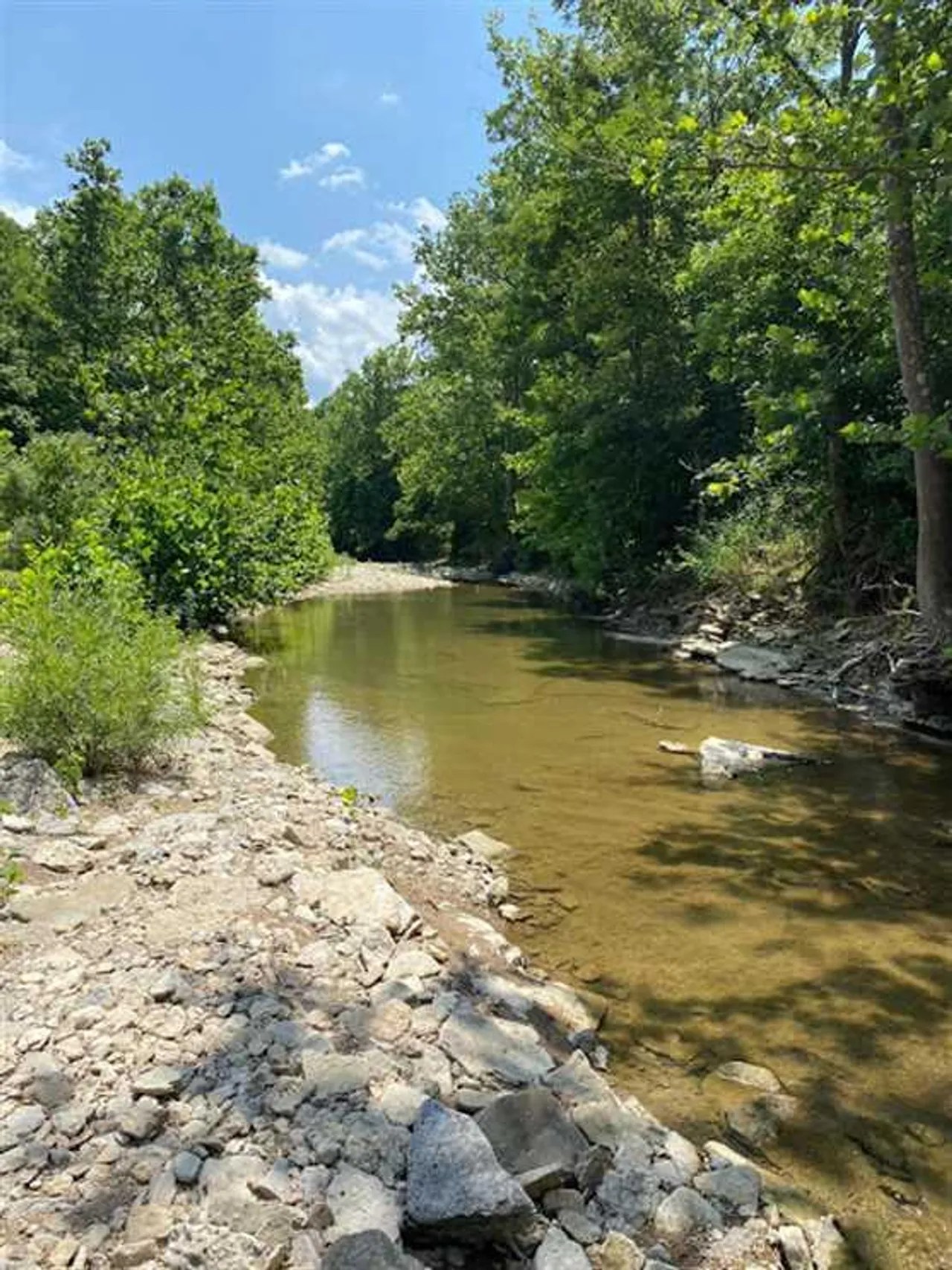 40 Acres Dearborn County Recreational / Hunting Dearborn County