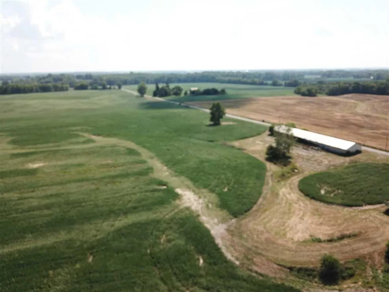 70+/ AcresTillable, Farm, Pond, Barn Eaton, IndianaLand For Sale