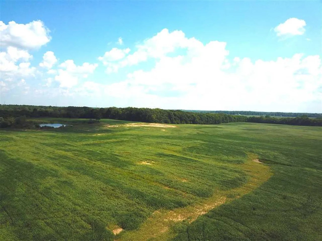 70+/ AcresTillable, Farm, Pond, Barn Eaton, IndianaLand For Sale