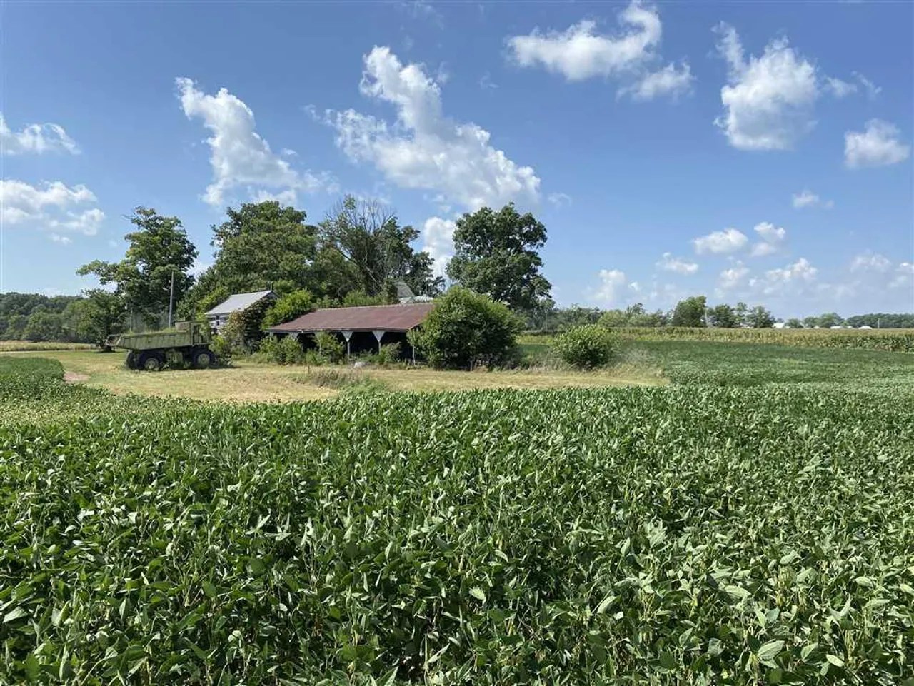 70+/ AcresTillable, Farm, Pond, Barn Eaton, IndianaLand For Sale