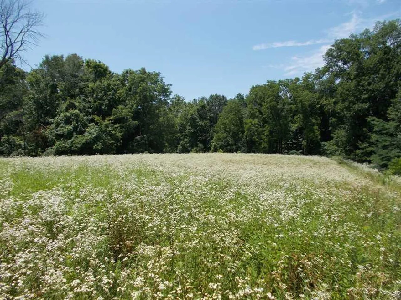 Land For Sale Sullivan County Indiana 15 Sullivan County Lewis, IN