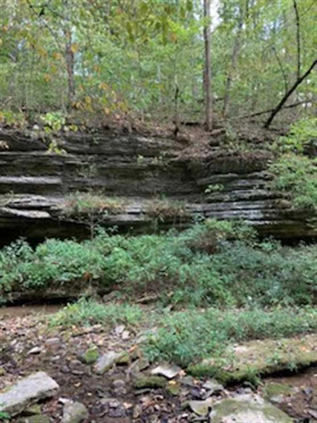 Land For Sale Jennings County, Indiana 44 Acres +/ Jennings County
