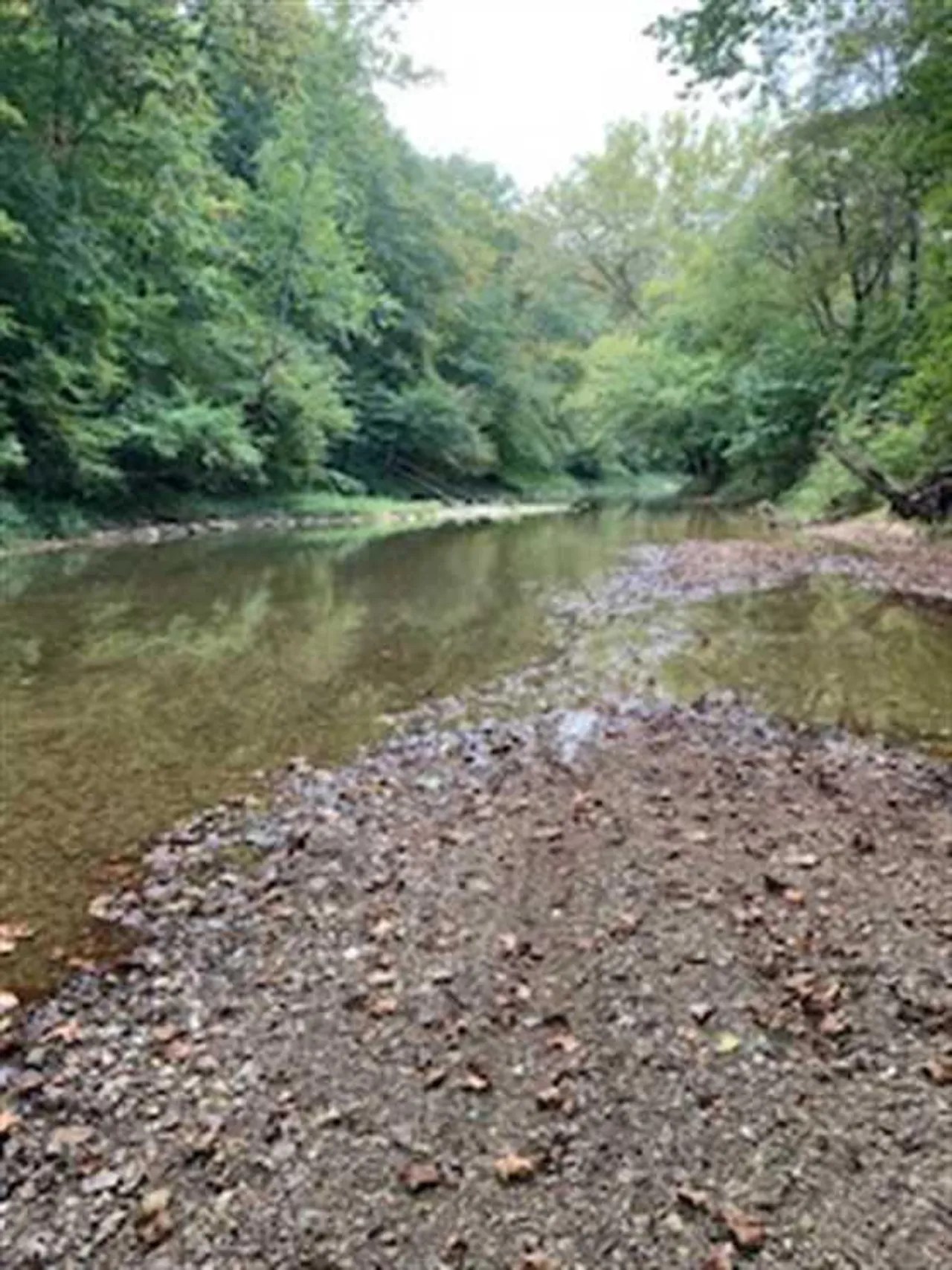 Land For Sale Jennings County, Indiana 44 Acres +/ Jennings County