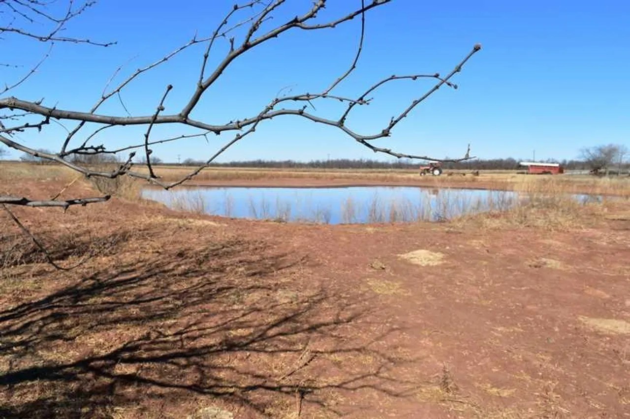 132 acres on FM 1206 close to Iowa Park in Wichita County, TX. Pasture