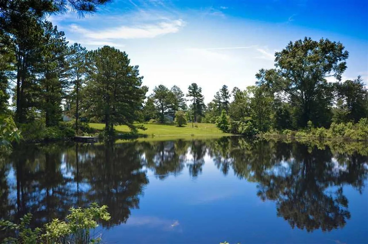 94 acres East Texas Timber, Pasture and Pond Nacogdoches County