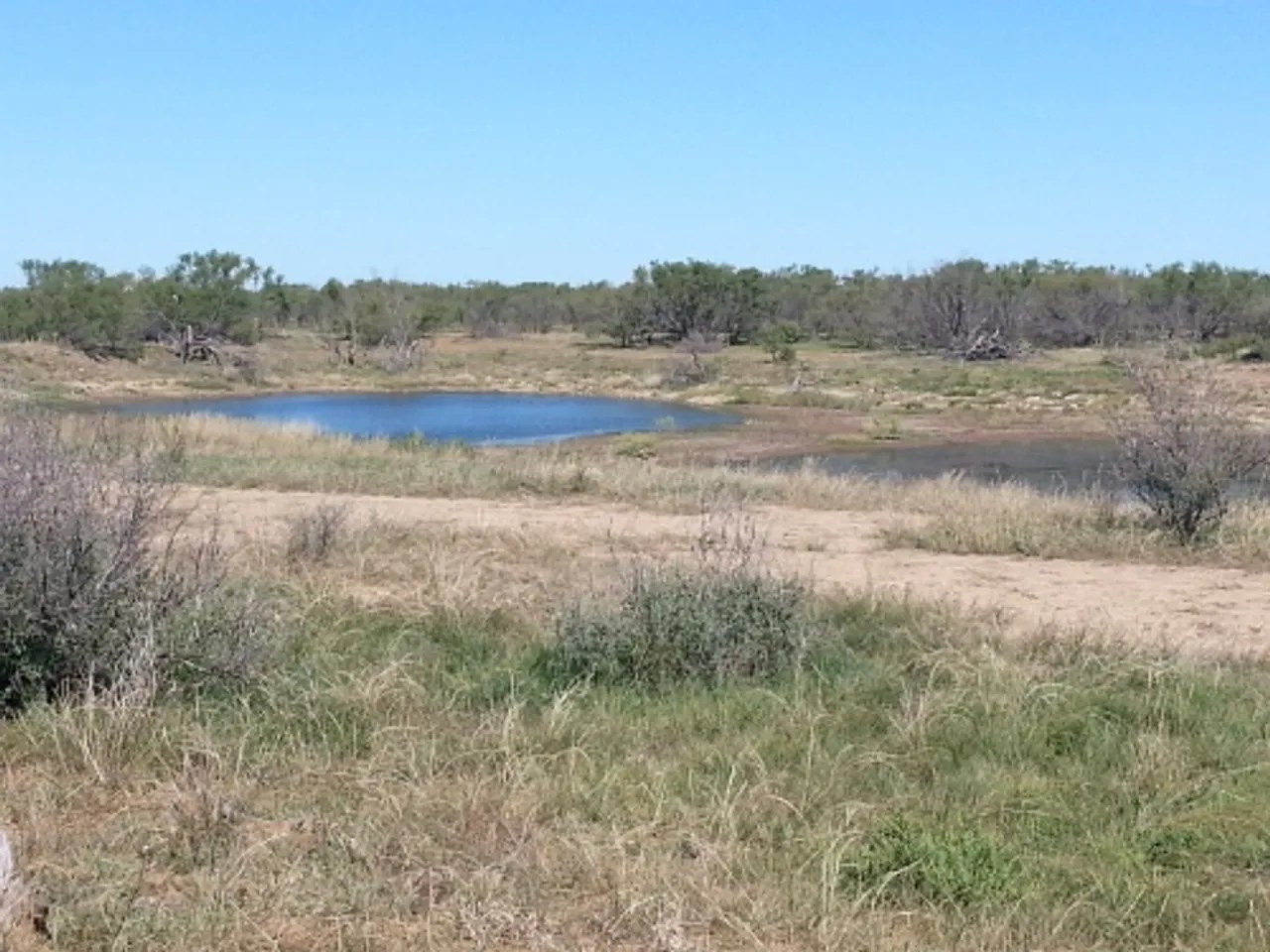 Armstrong Ranch Throckmorton County Throckmorton, TX