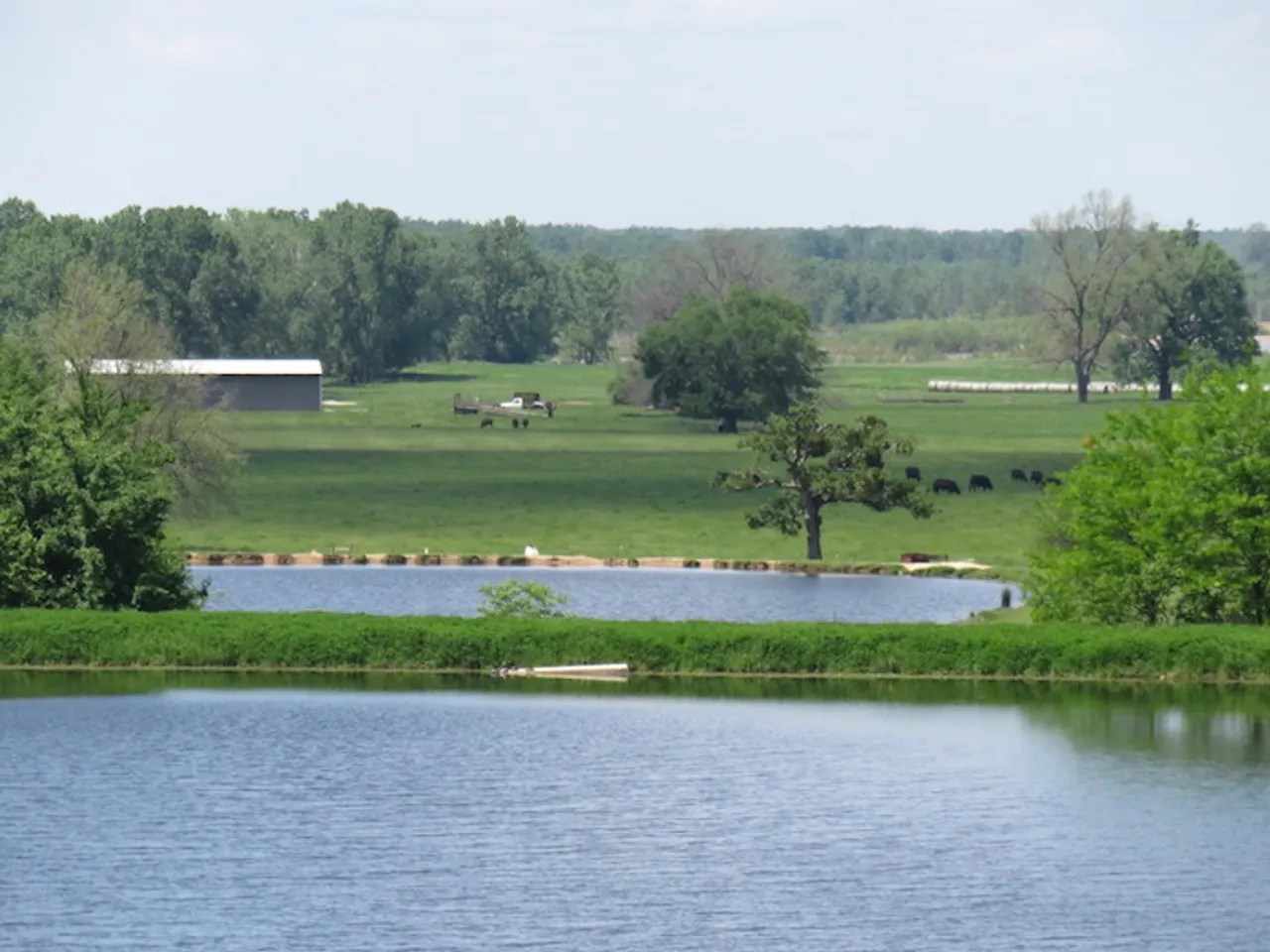 4M Ranch Red River County Paris, TX