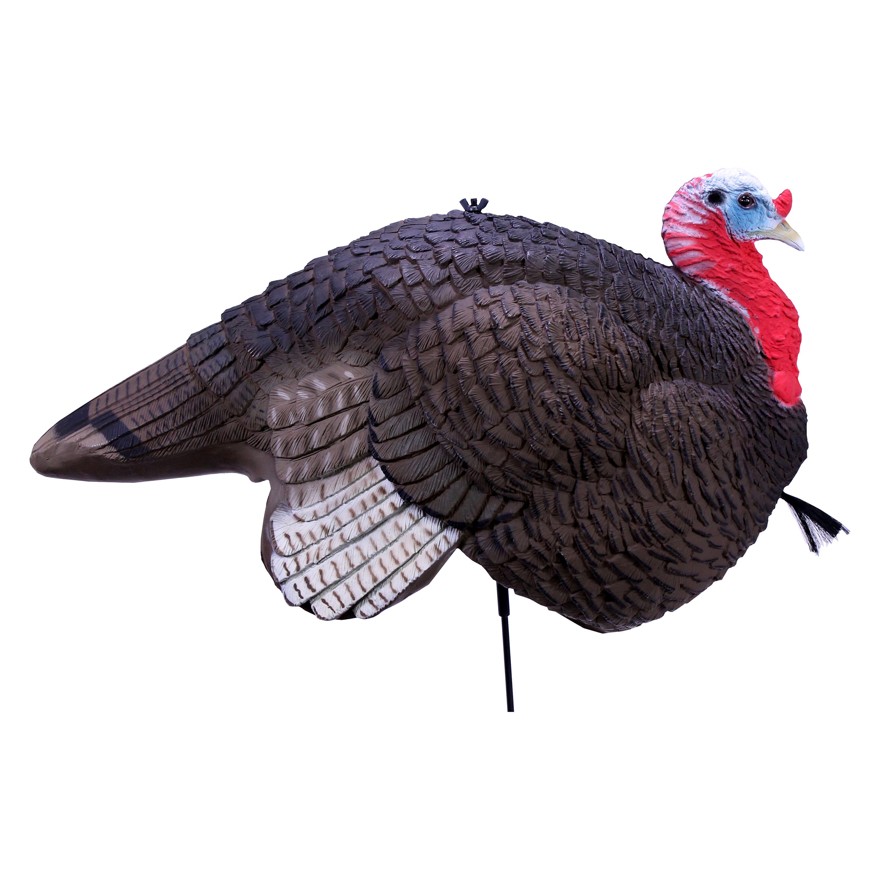 Primos® 69066 Gobbstopper Jake™ 3D Collapsible Turkey Decoy