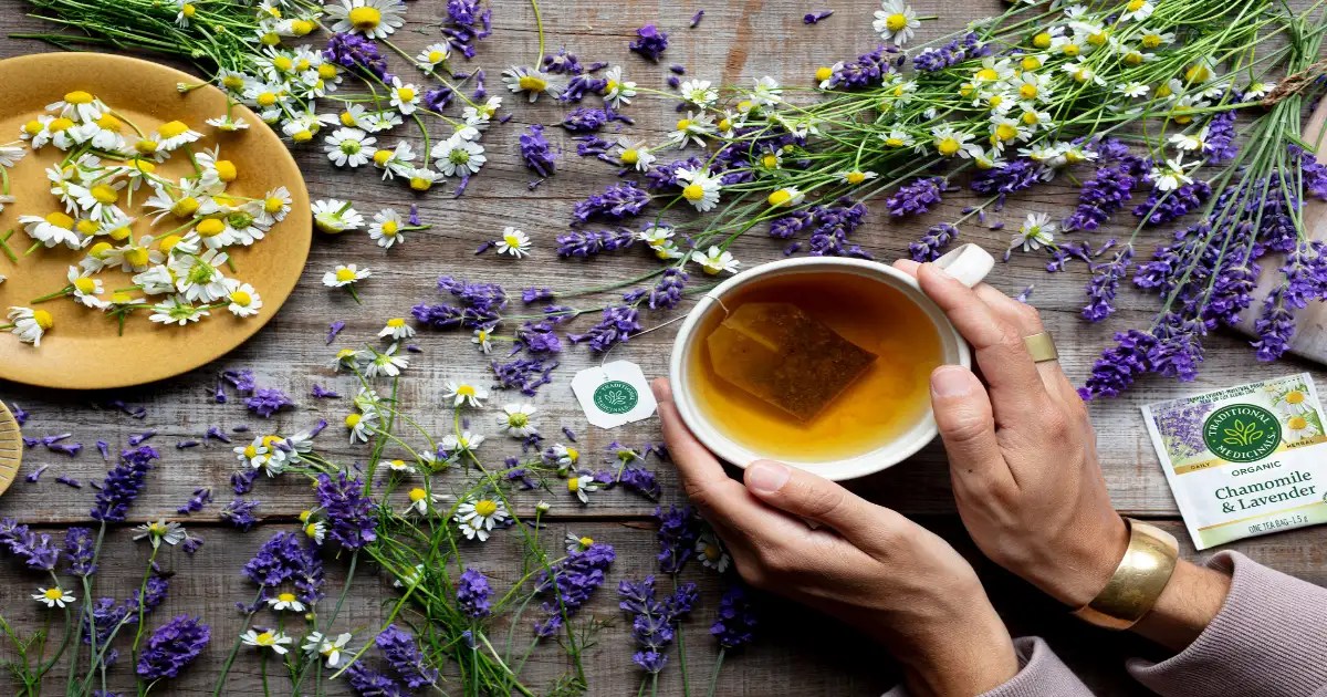 Top 7 Best Lavender Chamomile Tea Reviews 2024