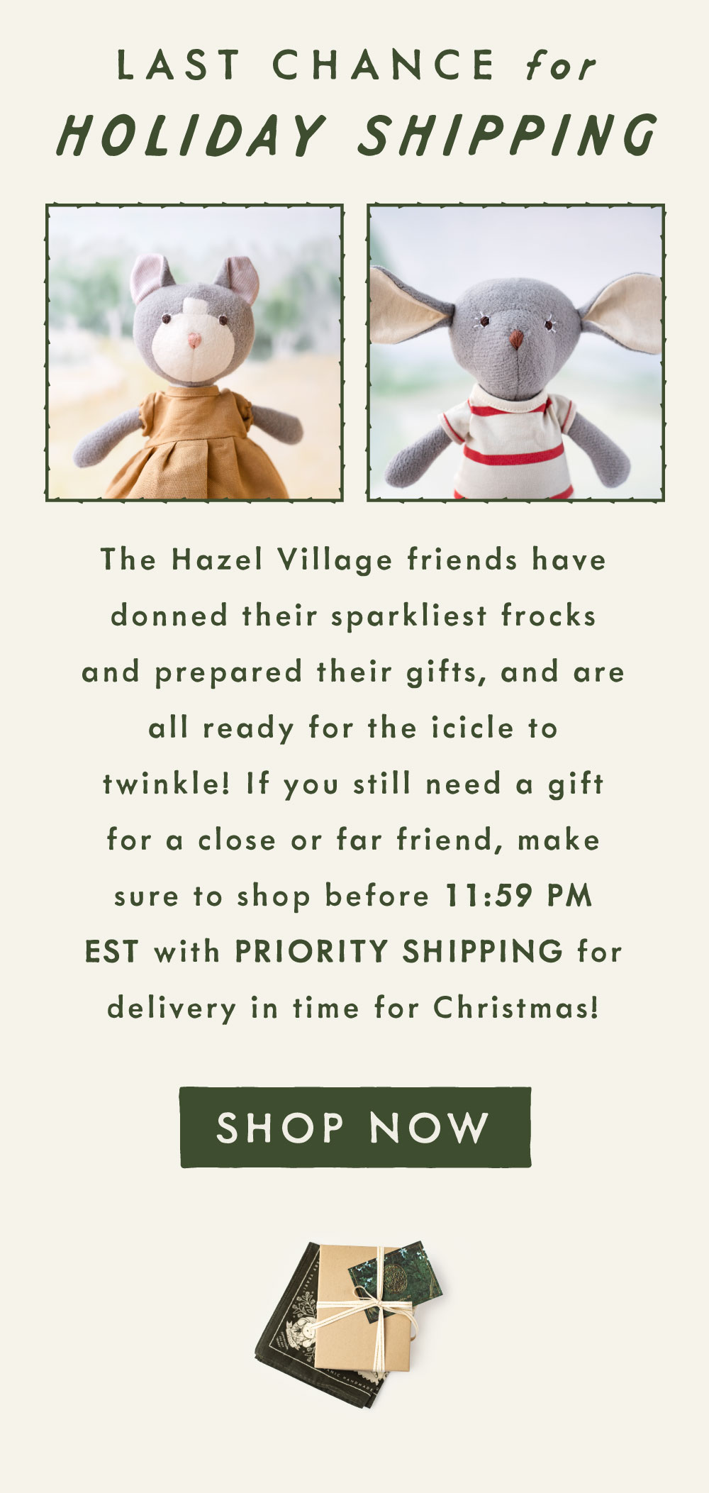 Hazel Village Registration and Sign Up Information hazelvillage