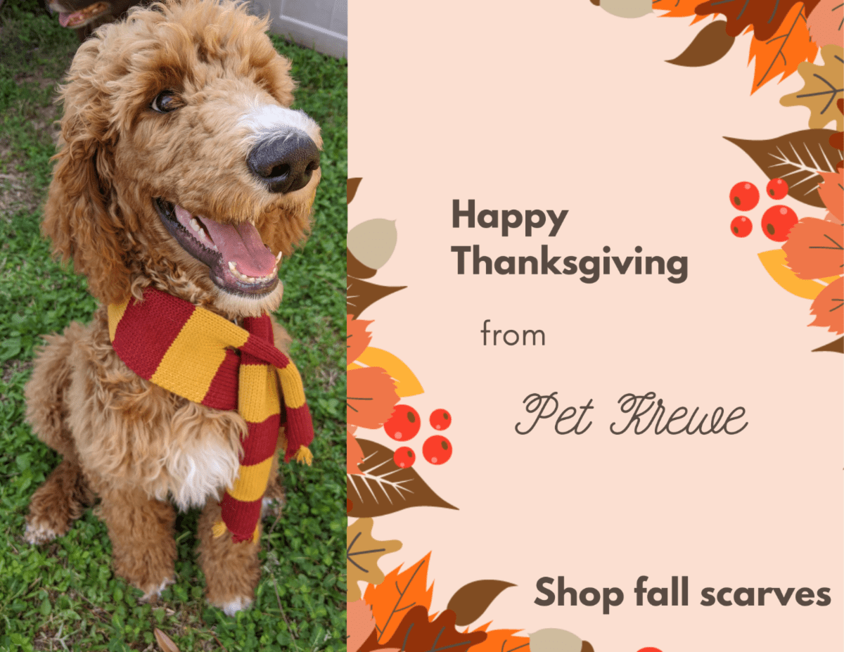 Pet Krewe Registration and Sign Up Information petkrewe Register Check