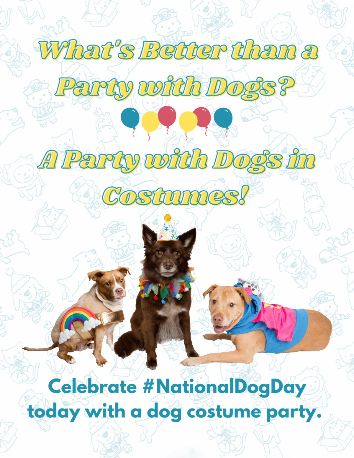 Pet Krewe Registration and Sign Up Information petkrewe Register Check