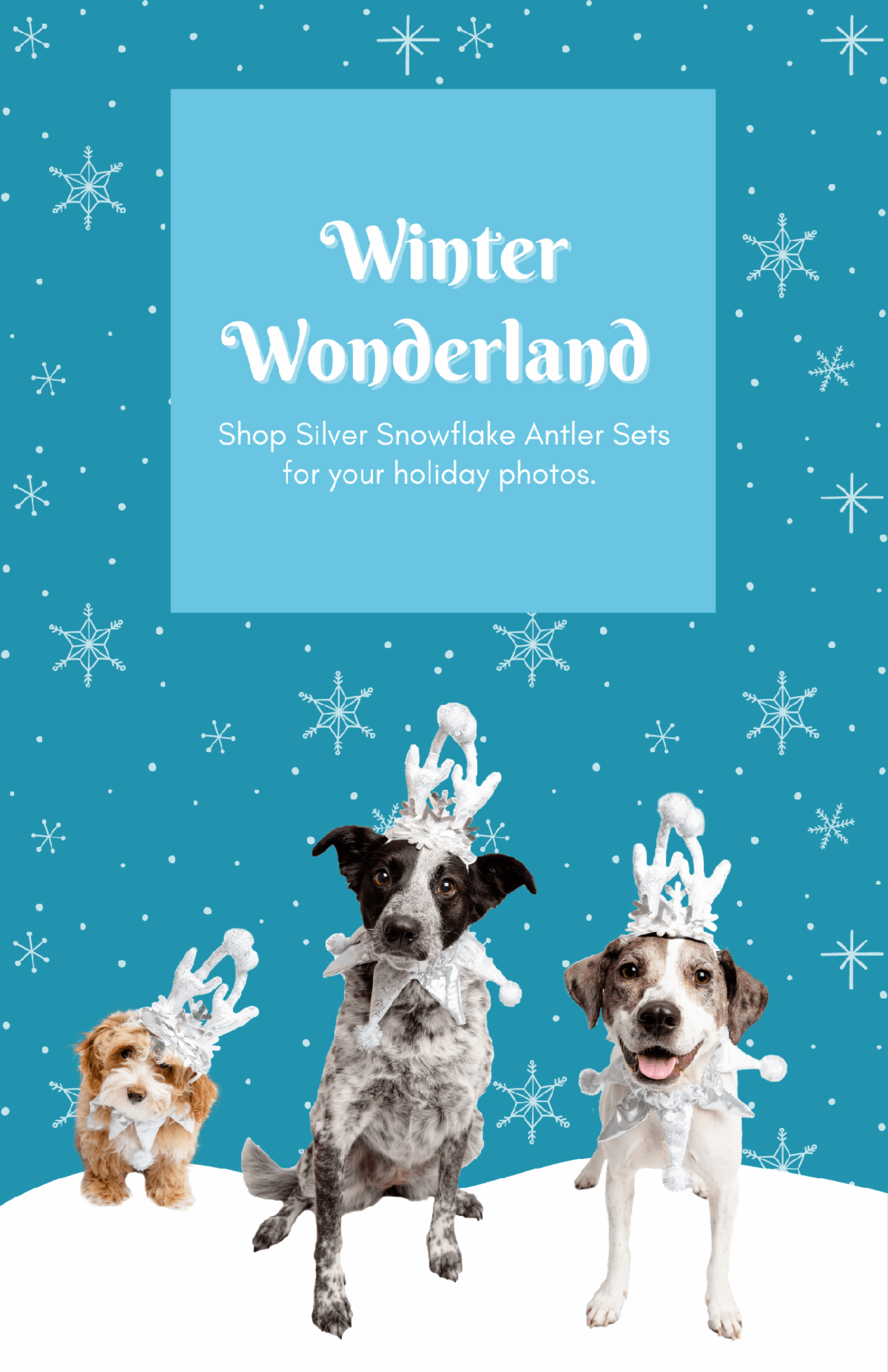 Pet Krewe Registration and Sign Up Information petkrewe Register Check